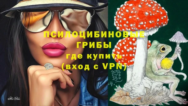 эйфоретик Михайлов