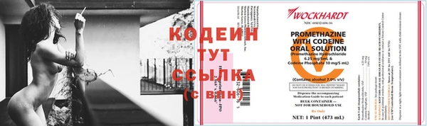 СК Новозыбков