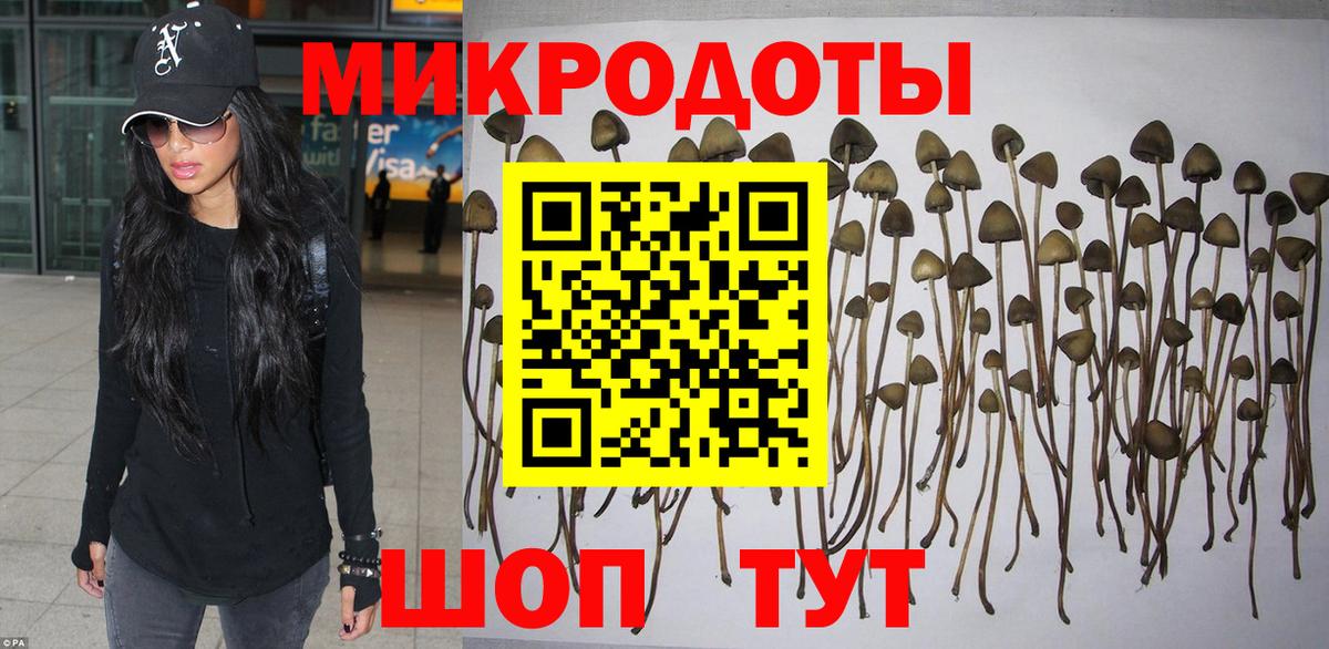 Волжский  Галлюциногенные грибы мухоморы  Вход с VPN 