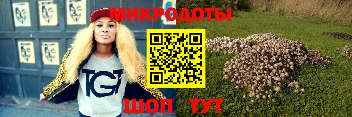 Псилоцибиновые грибы прущие грибы Волжский